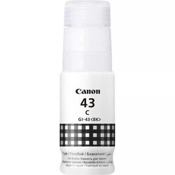 Canon GI-43 4698C001 Siyah Orijinal Mürekkep